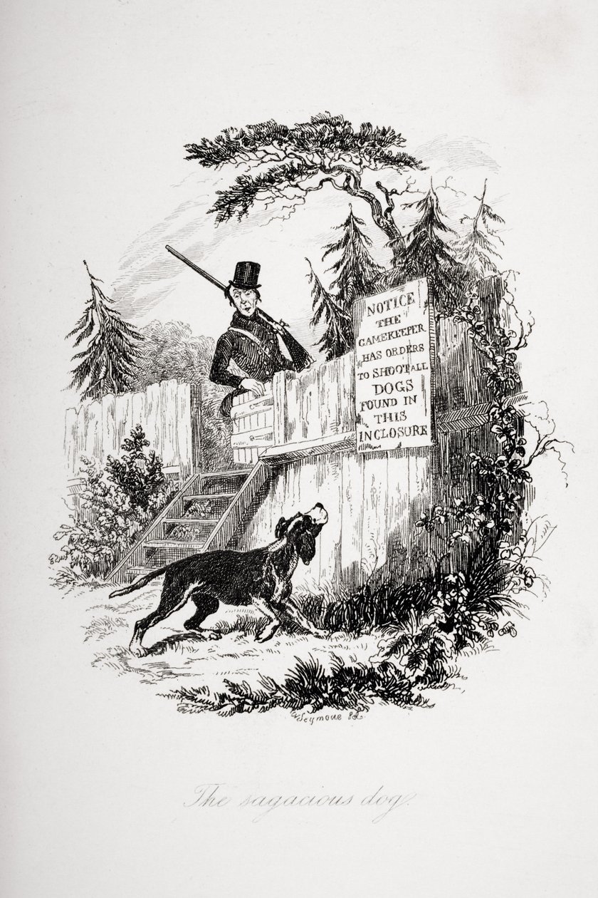 A bölcs kutya, Charles Dickens (1812-70) 1837-ben megjelent „The Pickwick-papírjaiból” készült illusztráció alkotó: Hablot Knight Browne