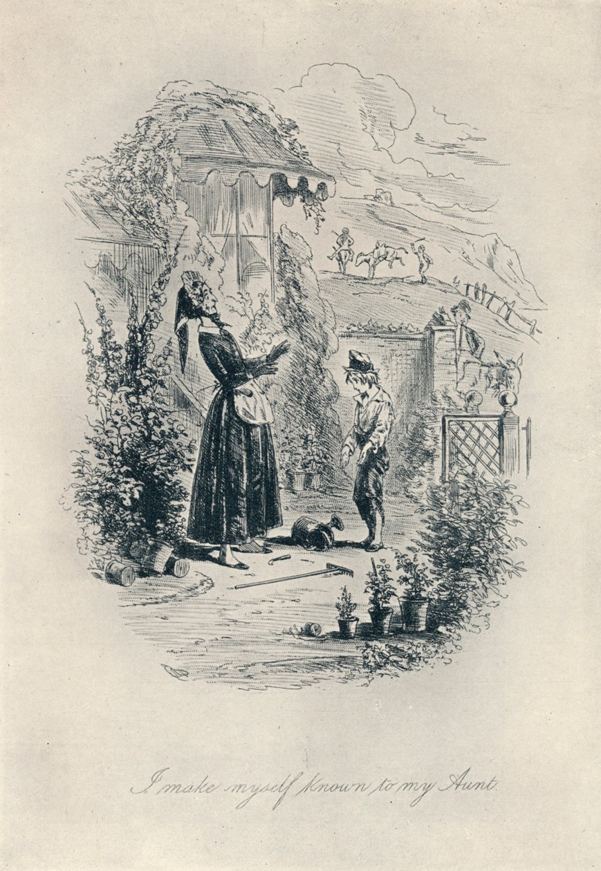 Ismertté teszem magam a nagynénémnek. Rézkarc David Copperfieldtől, 1840-1880, 1923 alkotó: Hablot Knight Browne