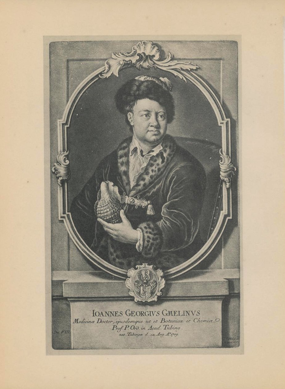 Johann Georg Gmelin természettudós, botanikus és geográfus portréja 1709-1755, XVIII. század közepe. alkotó: Haid