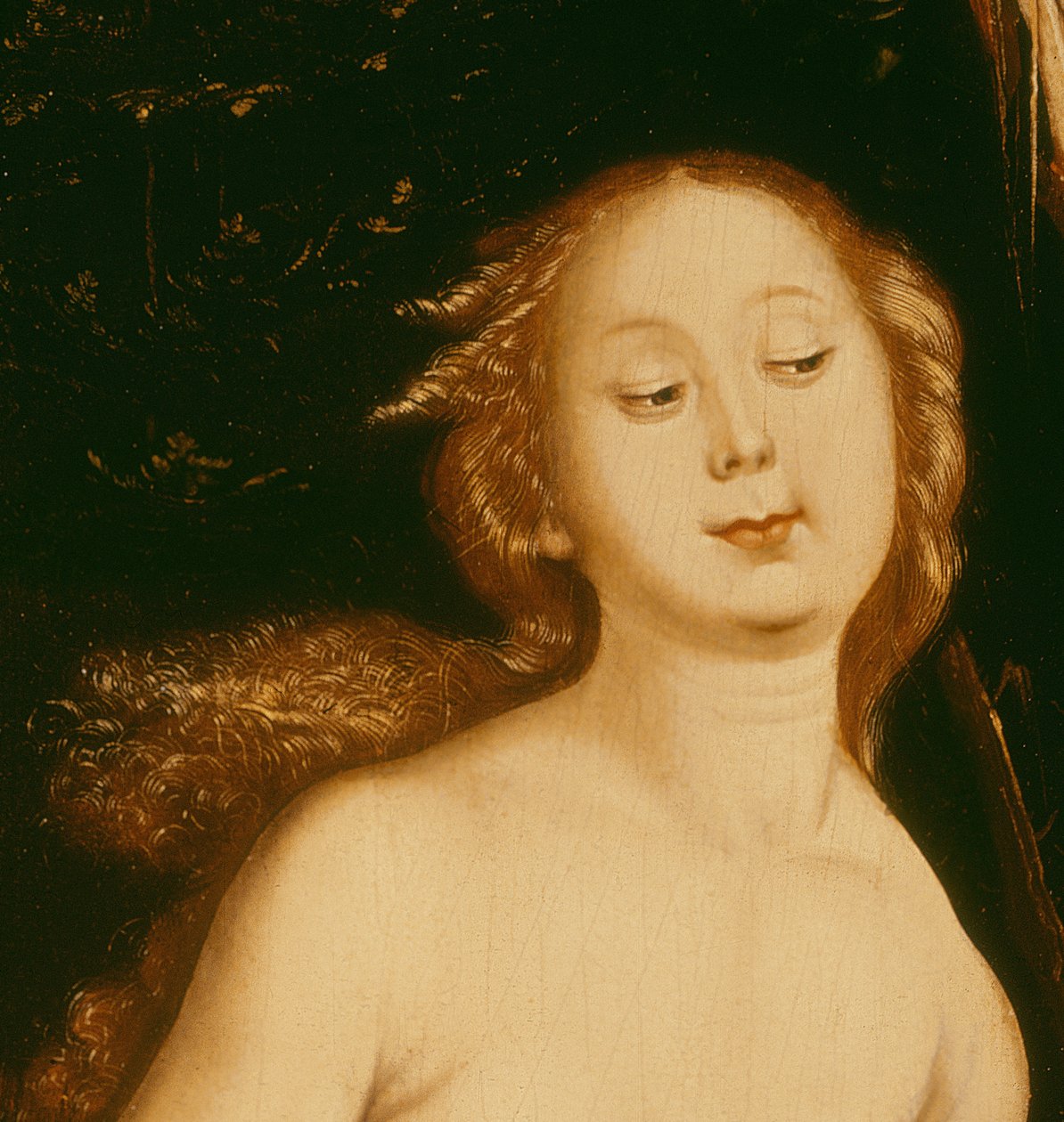 Részlet a következőből: Éva, a kígyó és a halál olaj, tábla, 35456 részlete alkotó: Hans Baldung Grien