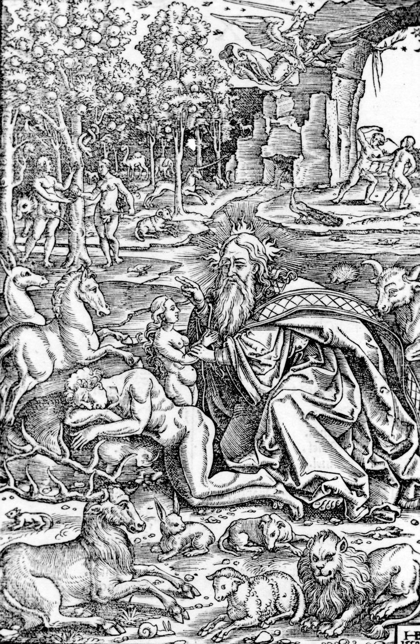 Éva teremtése, a Luther Bibliából, 1550 alkotó: Hans Brosamer