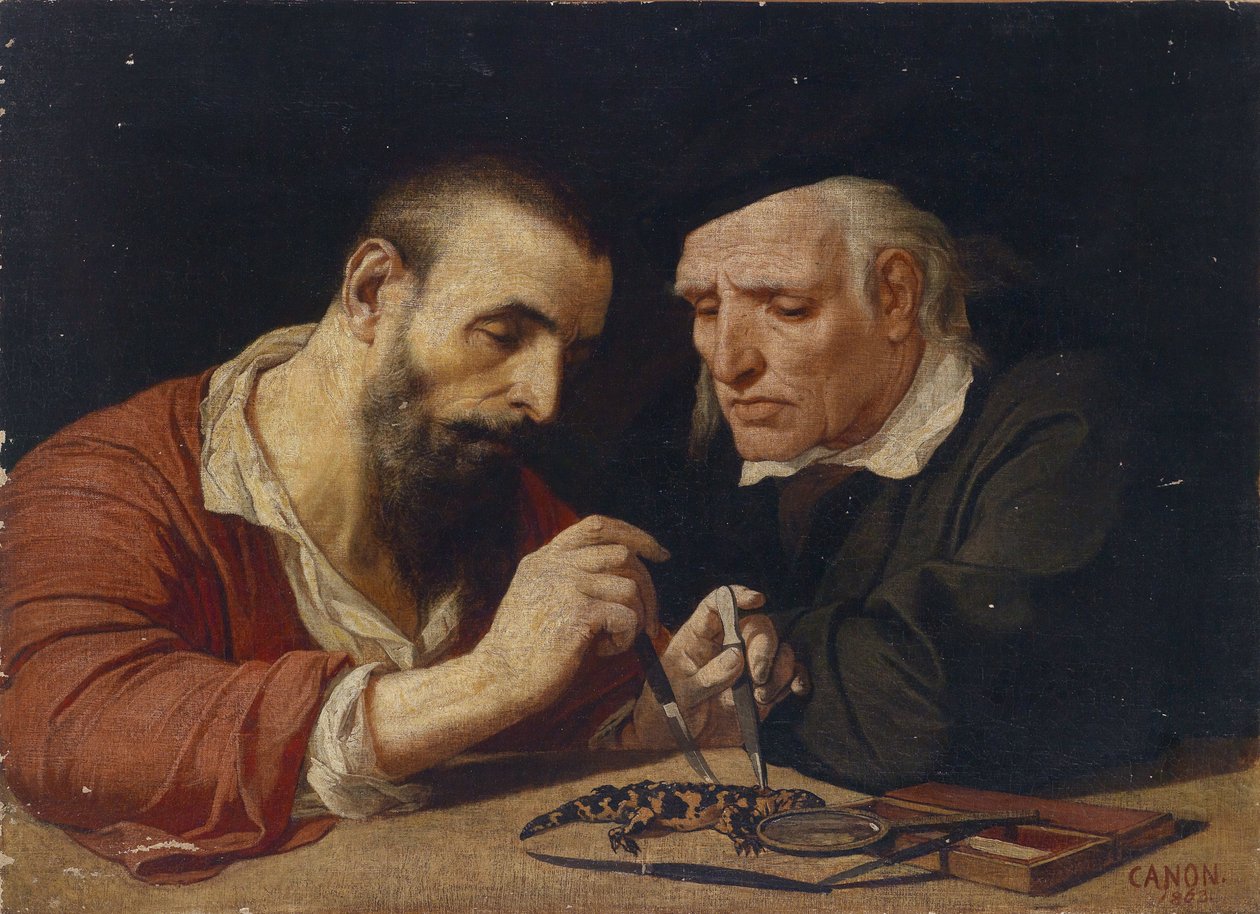 A szalamandra alkotó: Hans Canon
