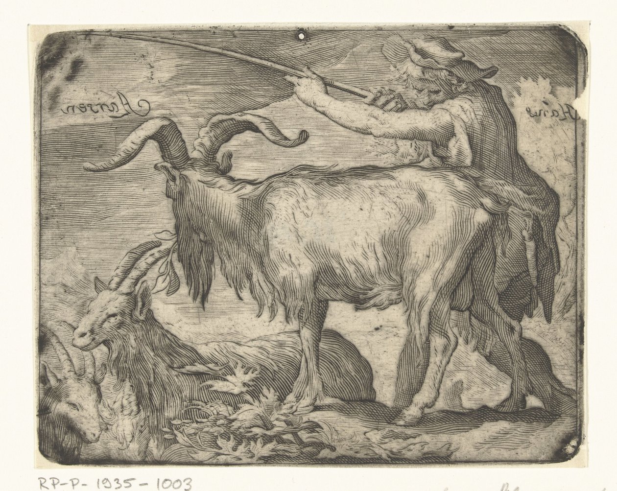 Fiú kecskékkel alkotó: Hans Aarsen (signed by artist)