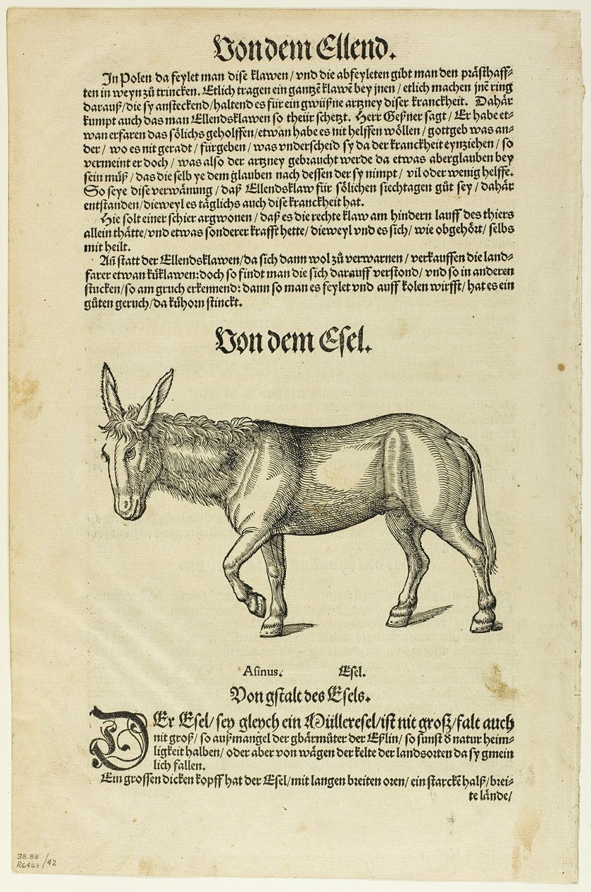 Illusztráció a "Thierbuch"-ból, 42. tábla a "Woodcuts from Books of the XVI Century" című kötetből. alkotó: Hans Asper