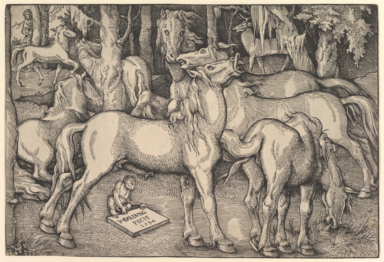 Hét ló csoportja, 1534. alkotó: Hans Baldung