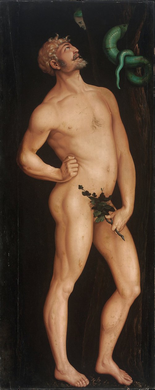 Adam alkotó: Hans Baldung Grien