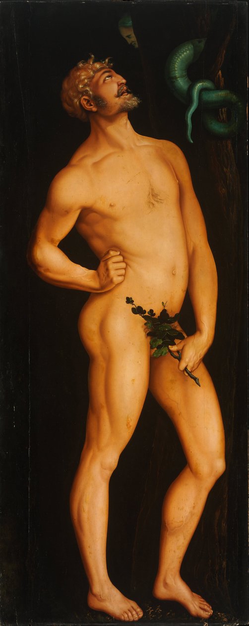 Adam - Peinture de Hans Baldung (1484-1545) - 1525-1526 - Olaj, fa - 208,5x83,5 - Szepmuveszeti Múzeum, Budapest alkotó: Hans Baldung Grien