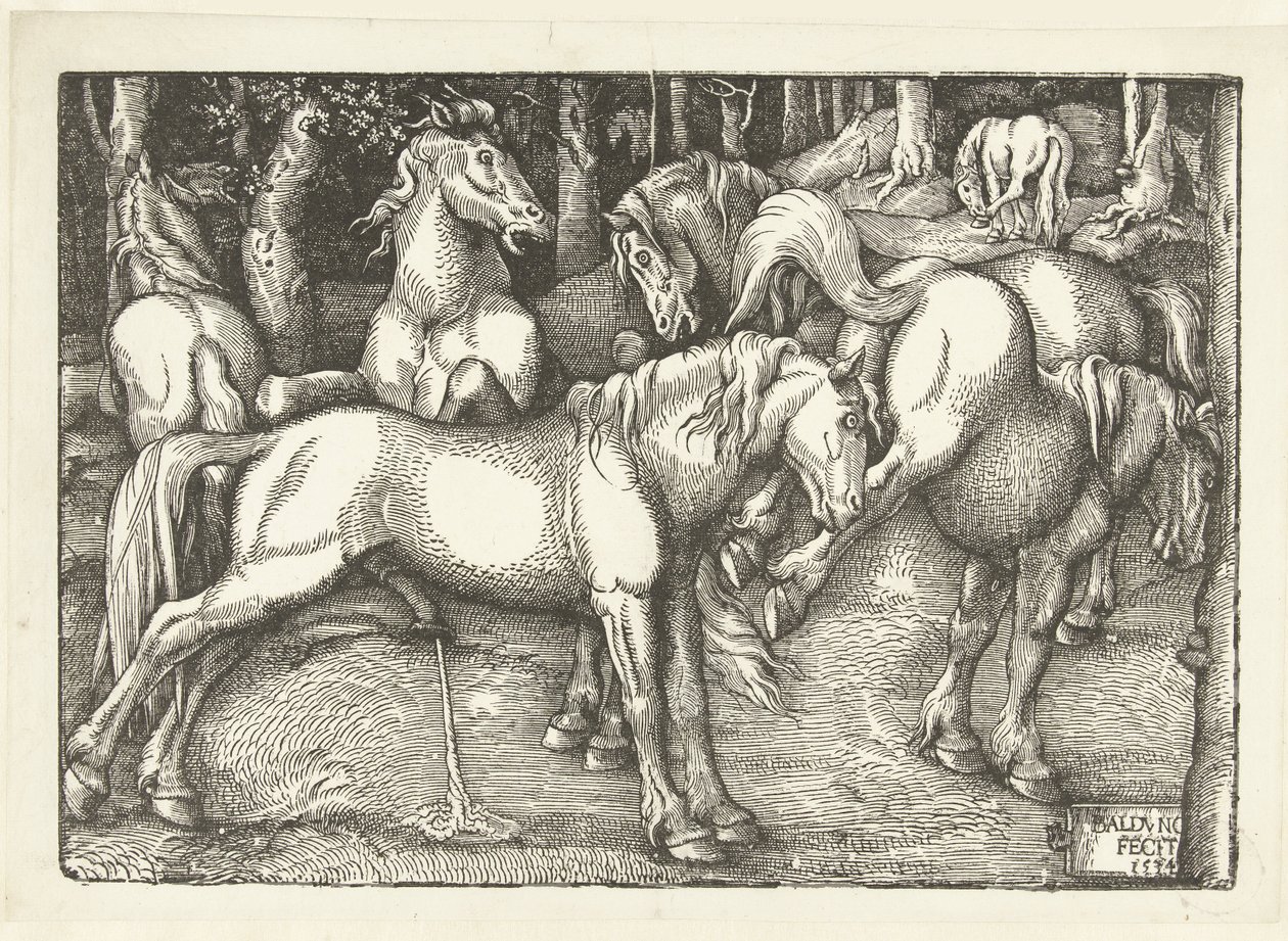 Hat harci lóból álló csoport alkotó: Hans Baldung Grien