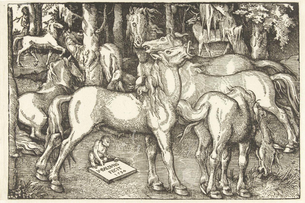 Hét lóból és egy majomból álló csoport alkotó: Hans Baldung Grien