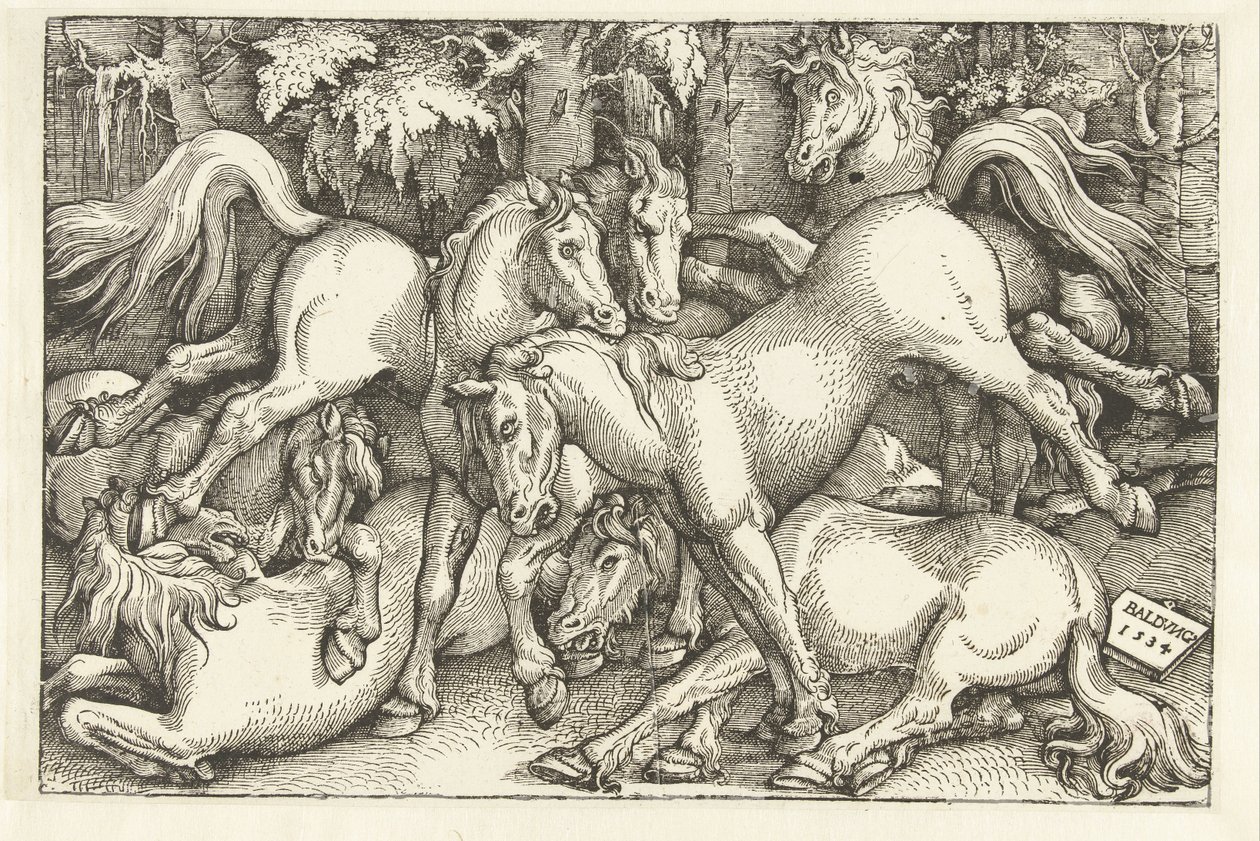Hét harci lóból álló csoport alkotó: Hans Baldung Grien