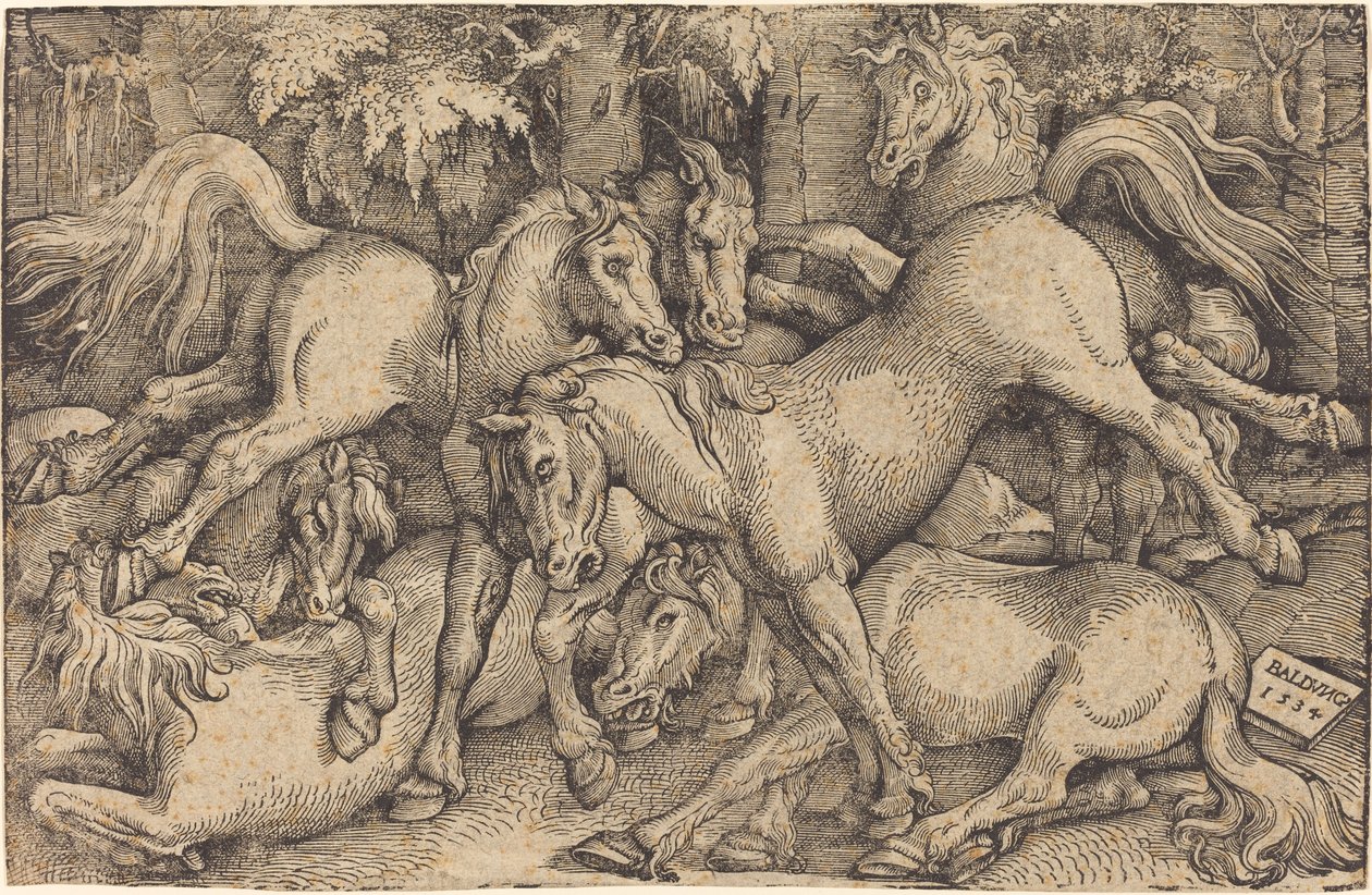 Hét ló csoportja erdőben alkotó: Hans Baldung Grien