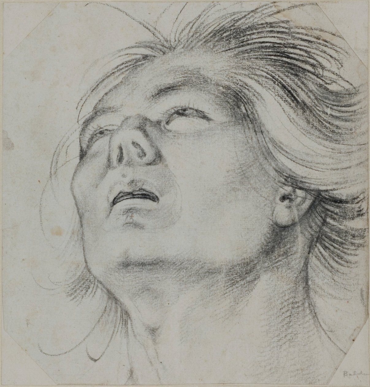 Fiatal férfi feje, alulról nézve alkotó: Hans Baldung Grien