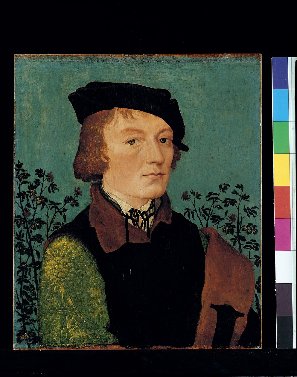 Egy férfi portréja egy rózsasövény előtt (olaj, fa) alkotó: Hans Baldung Grien