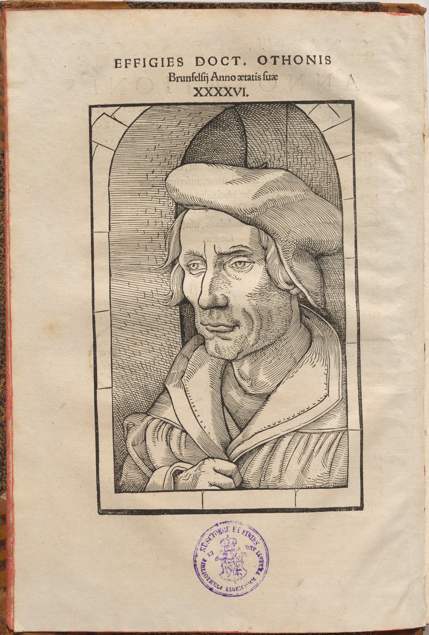 Othonis Brunfelsius annotációi a négy evangéliumban és az Apostolok cselekedeteiben... alkotó: Hans Baldung Grien, Otto Brunfels