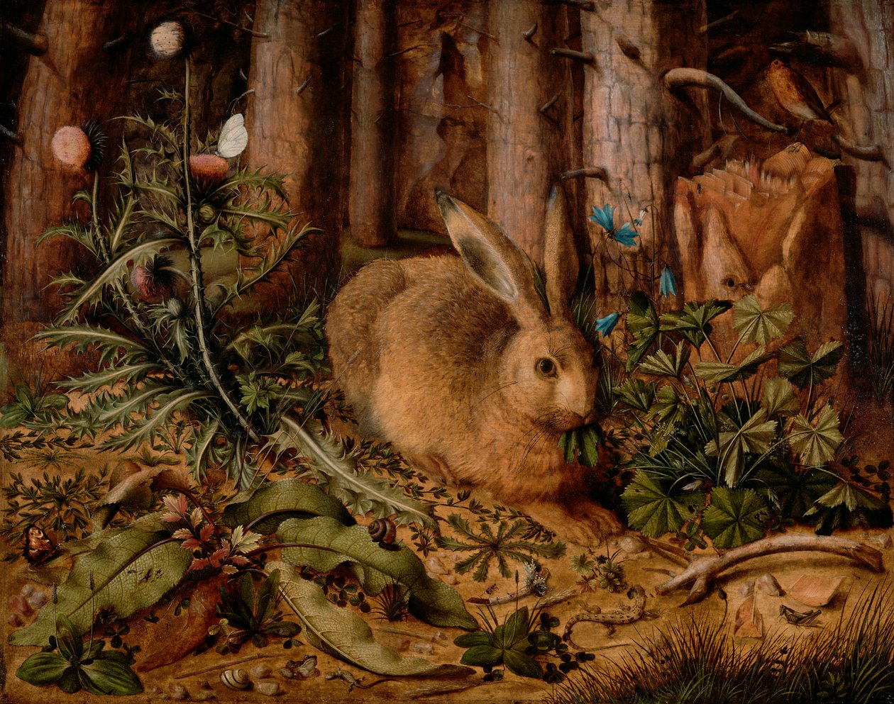 Nyúl az erdőben c. 1585 (olaj a panelen) alkotó: Hans Hoffmann