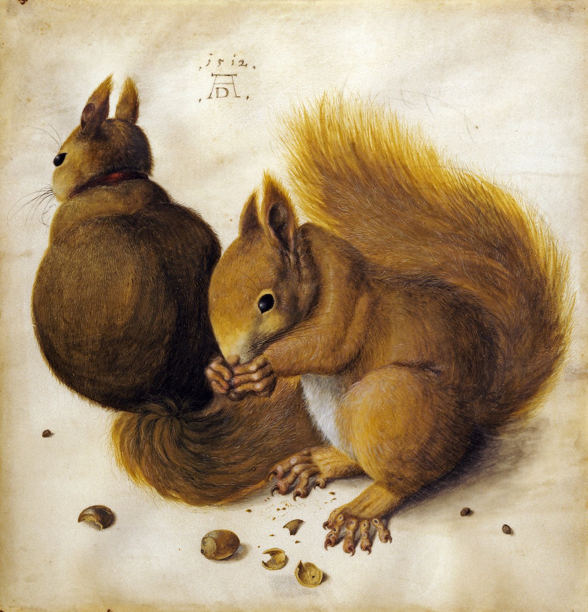 Két mókus. alkotó: Hans Hoffmann