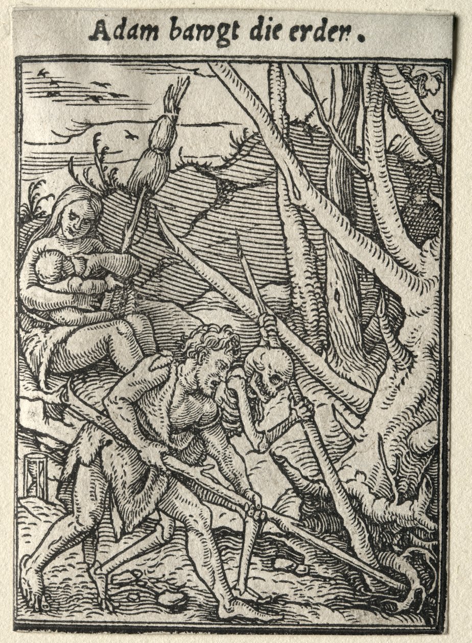 Haláltánc: Ádám földet művel alkotó: Hans Holbein