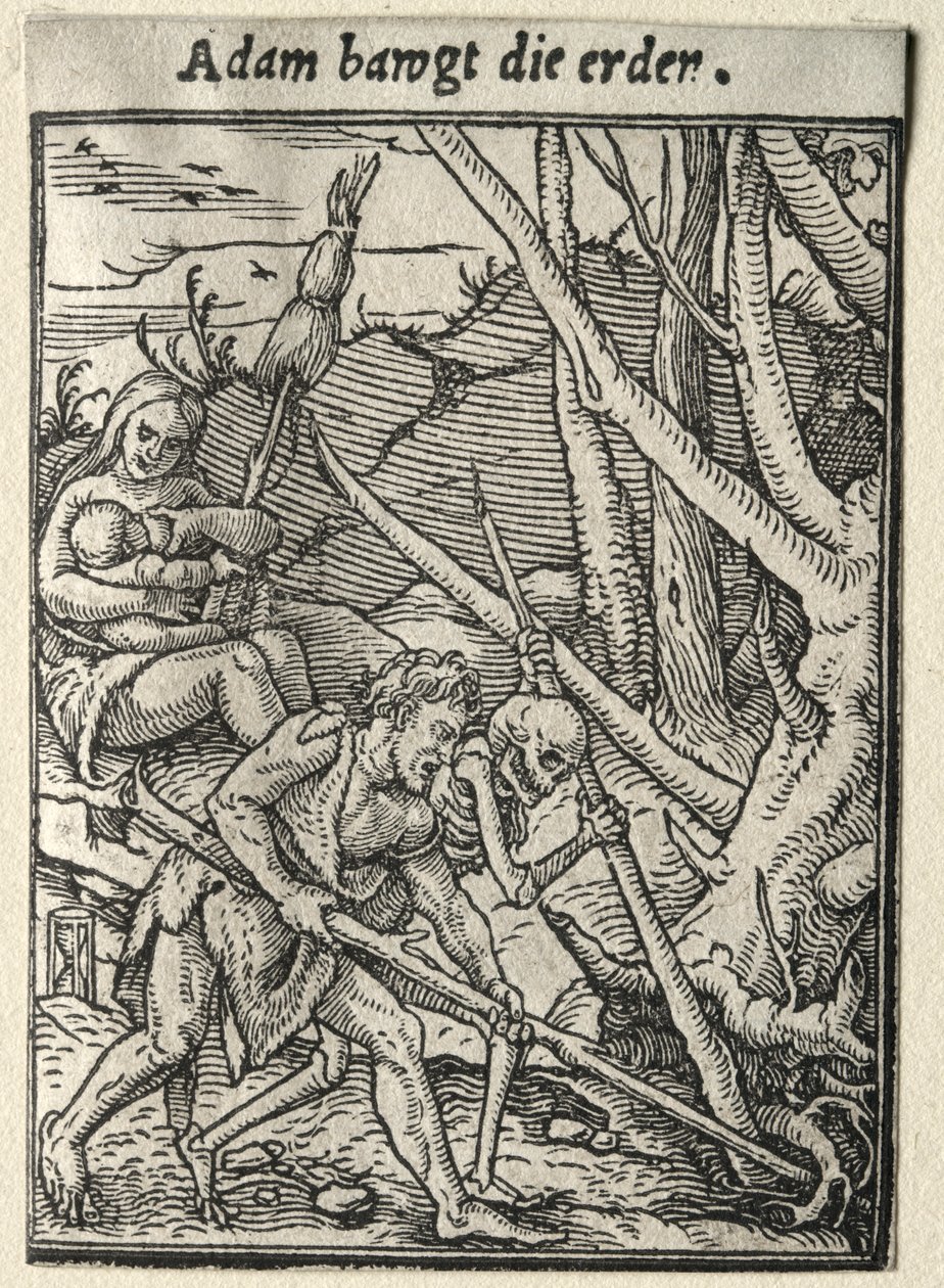 Haláltánc: Ádám földet művel. alkotó: Hans Holbein
