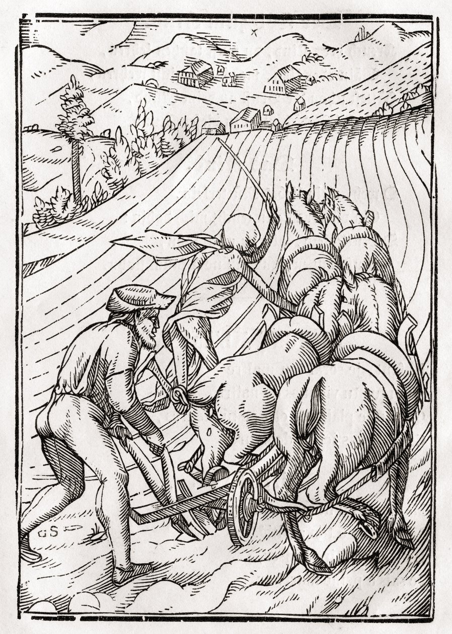 A földművesért vagy férjért a halál jön, Georg Scharffenberg metszete a „Der Todten Tanz” című művéből, Bázel, 1843 alkotó: Hans Holbein der Jüngere