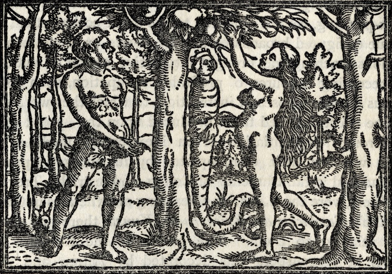 Ádám és Éva bukása, Richard Fisher „A metszetek, rézkarcok és fametszetek gyűjteményének katalógusából” 1879-ben alkotó: Hans Holbein der Jüngere