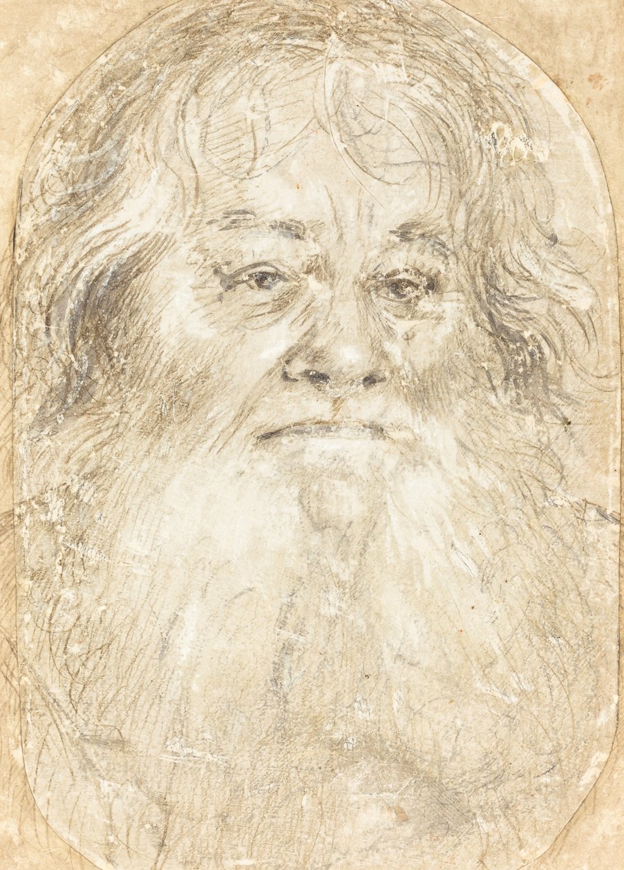 Tanulmány egy szakállas férfiról [verso] alkotó: Hans Holbein the Elder