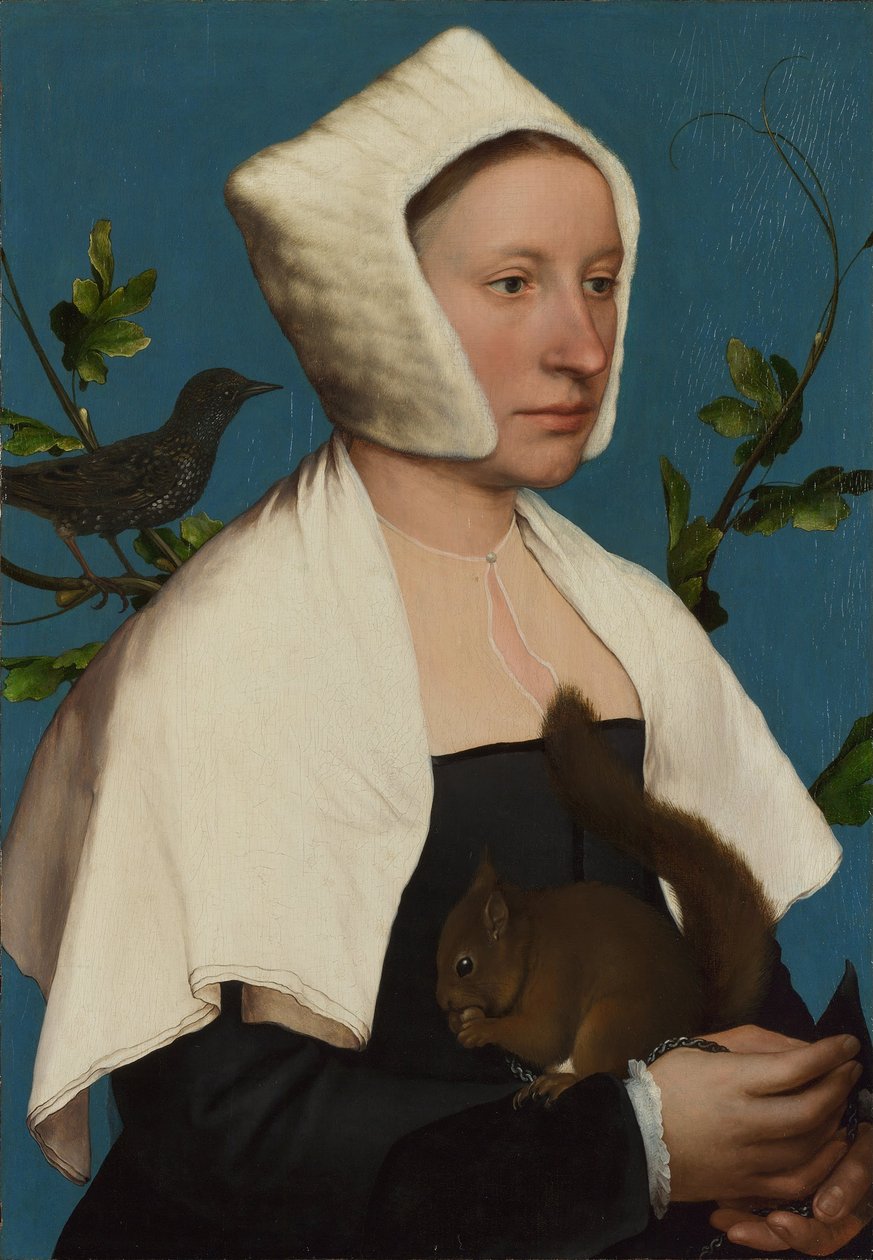 Egy hölgy mókussal és seregélyes Anne Lovell c. 1527 alkotó: Hans Holbein der Jüngere