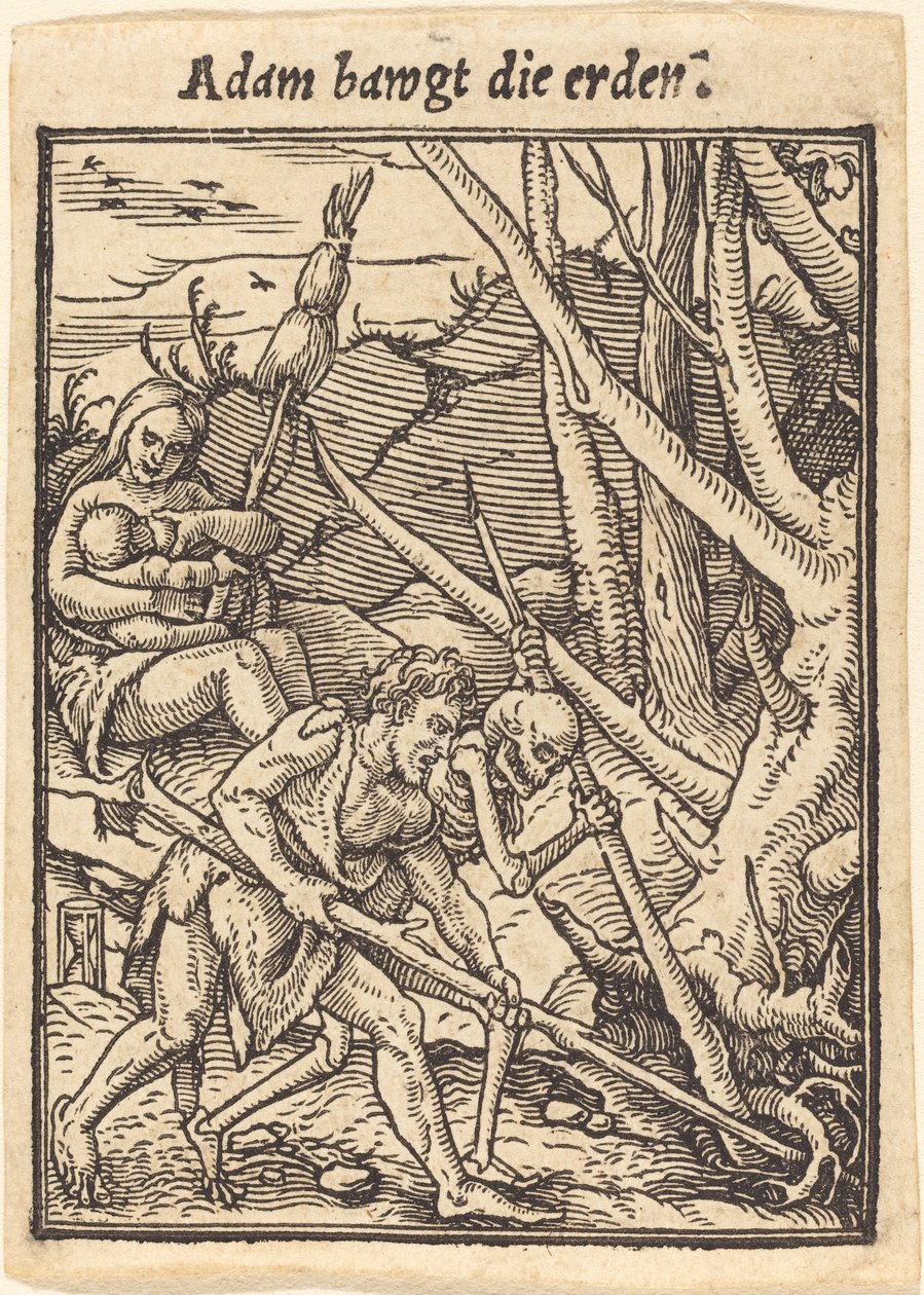 Ádám ringatja a földet. alkotó: Hans Holbein der Jüngere