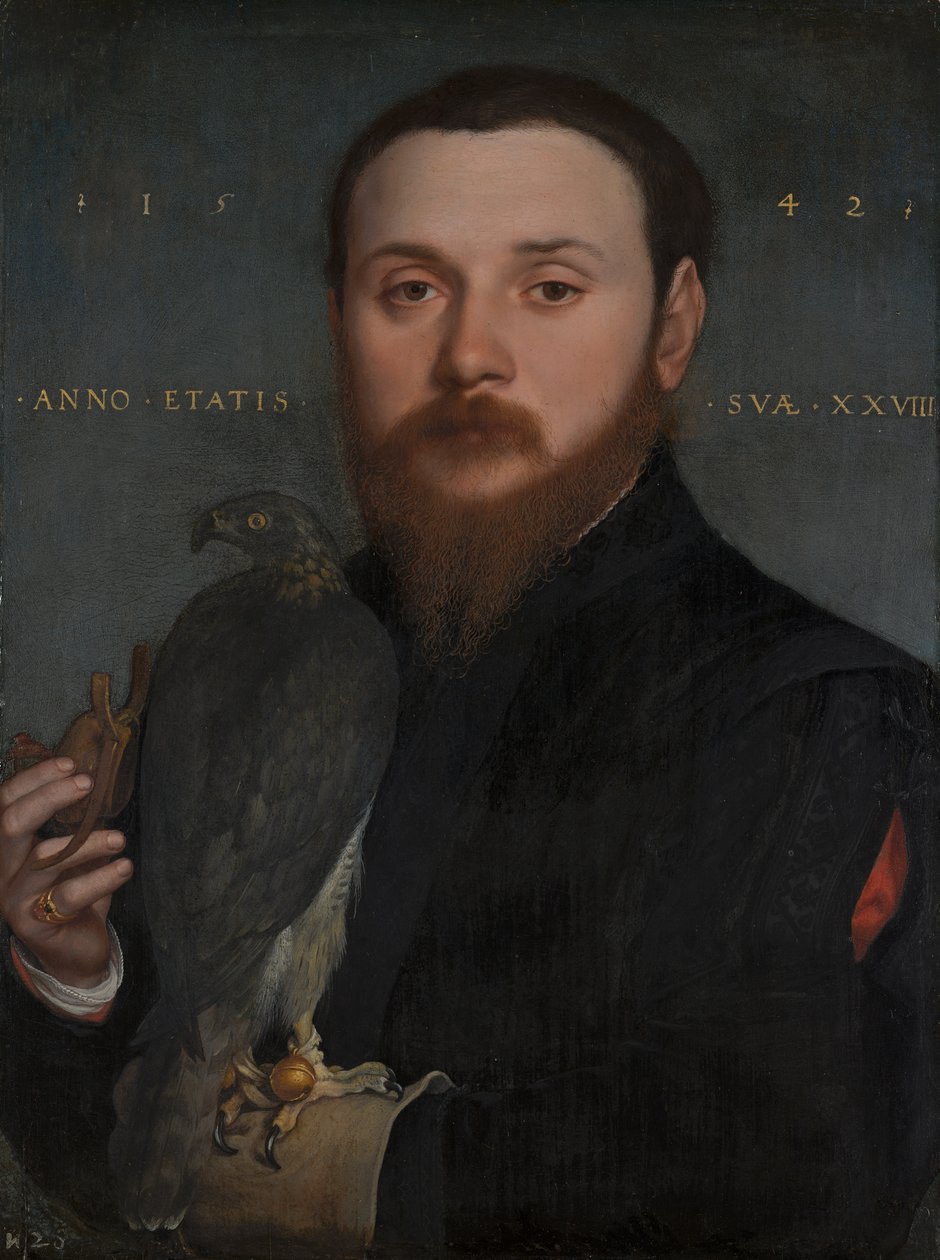 Nemes ember portréja sólymával, 1542 alkotó: Hans Holbein der Jüngere