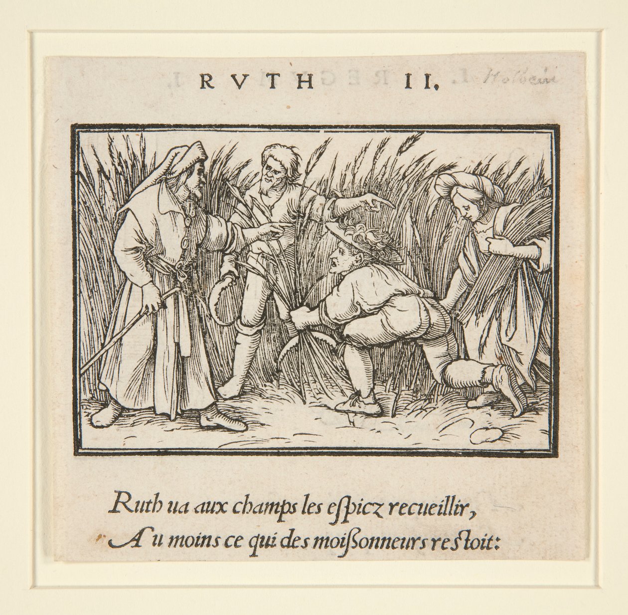 Ruth Takarítás Booz mezőin (recto); Hannah és Elkanah (verso) alkotó: Hans Holbein der Jüngere