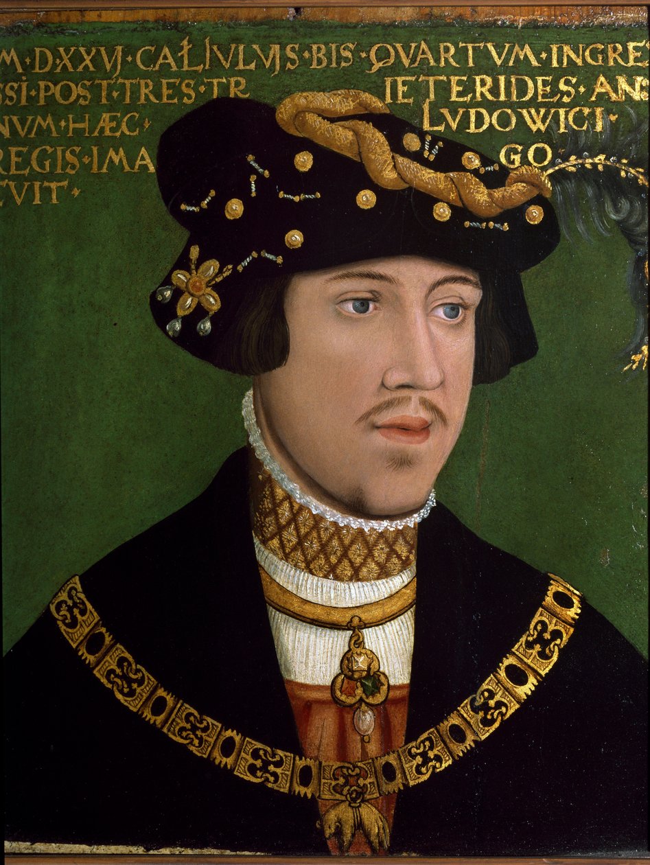Portrait of Louis II of Hungary (Louis Jagellon) alkotó: Hans Krell