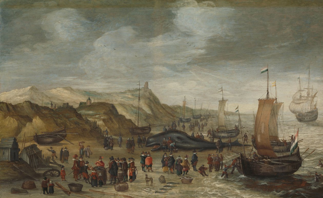 Egy sperma bálnát mostak ki a Noordwijk tengerpartján, 1614. december 28. alkotó: Hans Savery (I) (attributed to)