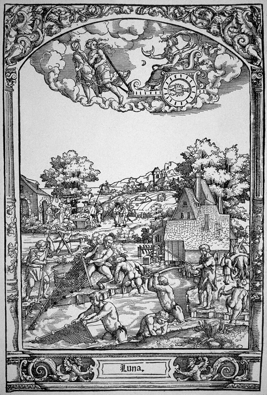 A Hold (fametszet) alkotó: Hans Sebald (School of) Beham