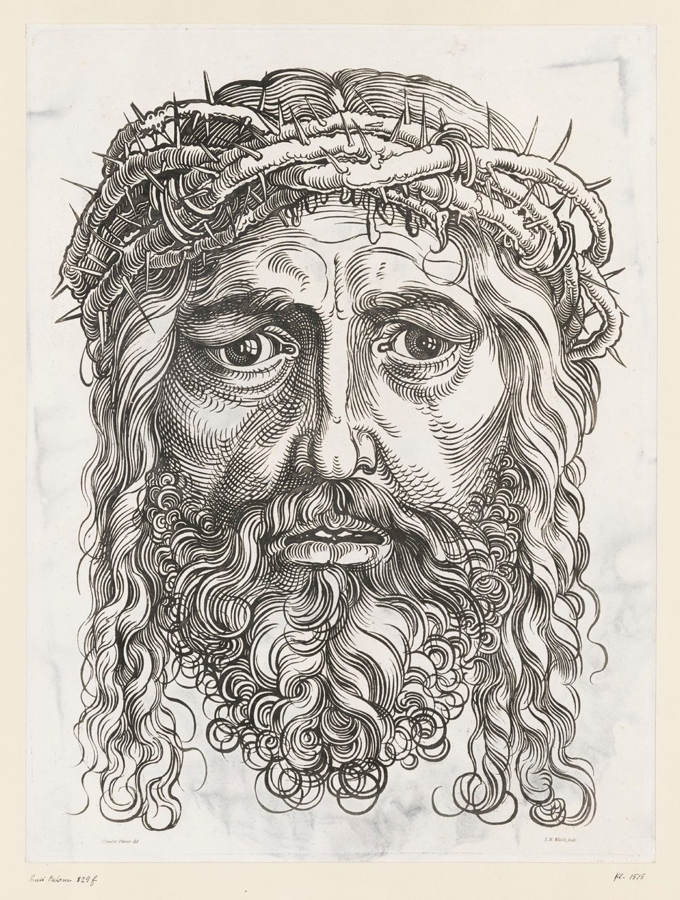 Krisztus nagy feje töviskoronával alkotó: Hans Sebald (after) Beham