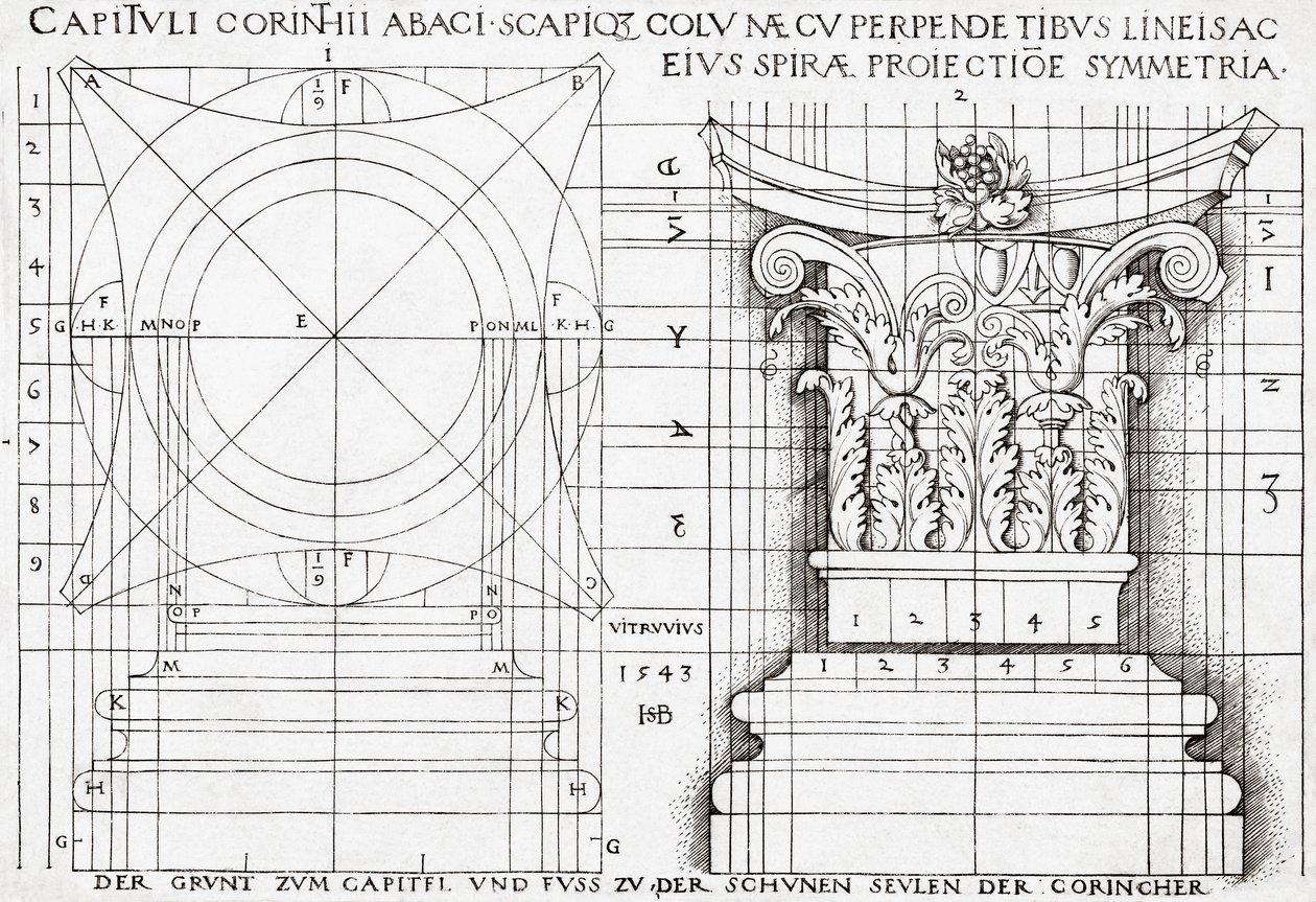 A korinthoszi tőke keresztmetszete és arányos rajza alkotó: Hans Sebald Beham