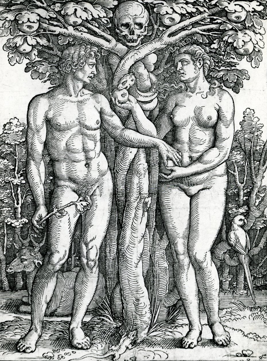 Ádám és Éva bukása, 1525-27 (fametszet) alkotó: Hans Sebald Beham