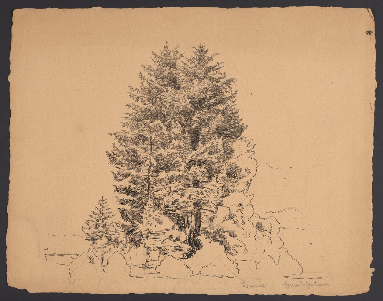 A fák Bernau-ban alkotó: Hans Thoma