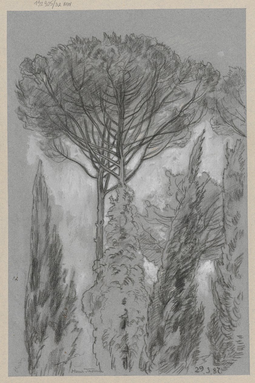 Fák Firenzében alkotó: Hans Thoma