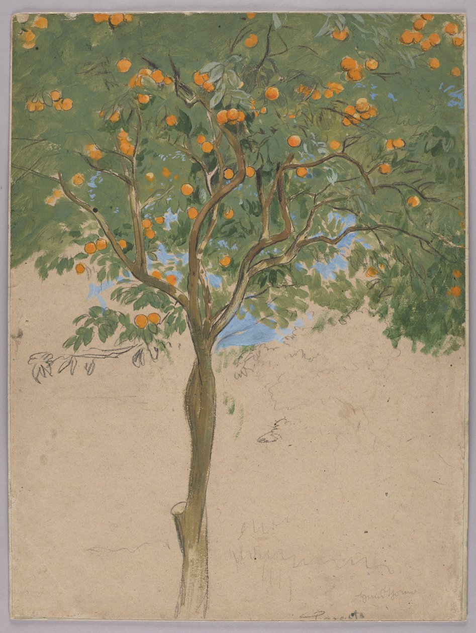 Narancsfa alkotó: Hans Thoma