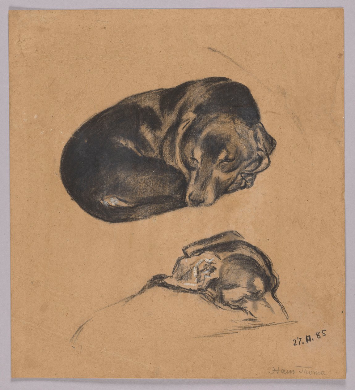 Zwei Studien eines schlafenden Dackels alkotó: Hans Thoma