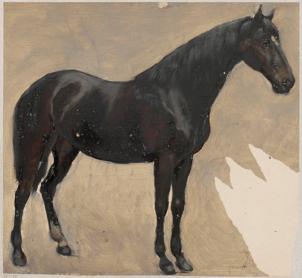A ló tanulmányozása alkotó: Hans Thoma