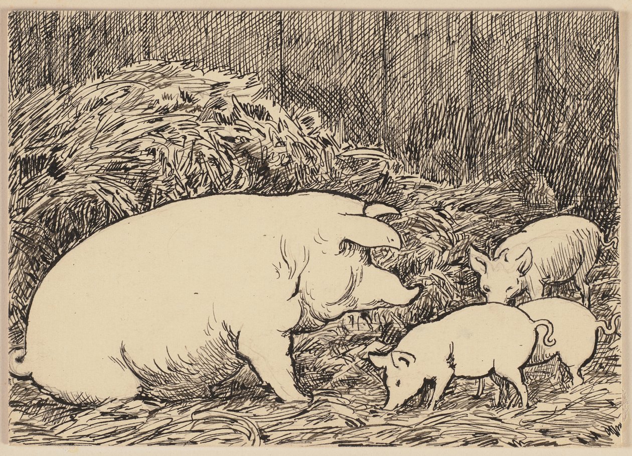 A betűtanulóhoz tartozó rajz: Malac alkotó: Hans Thoma