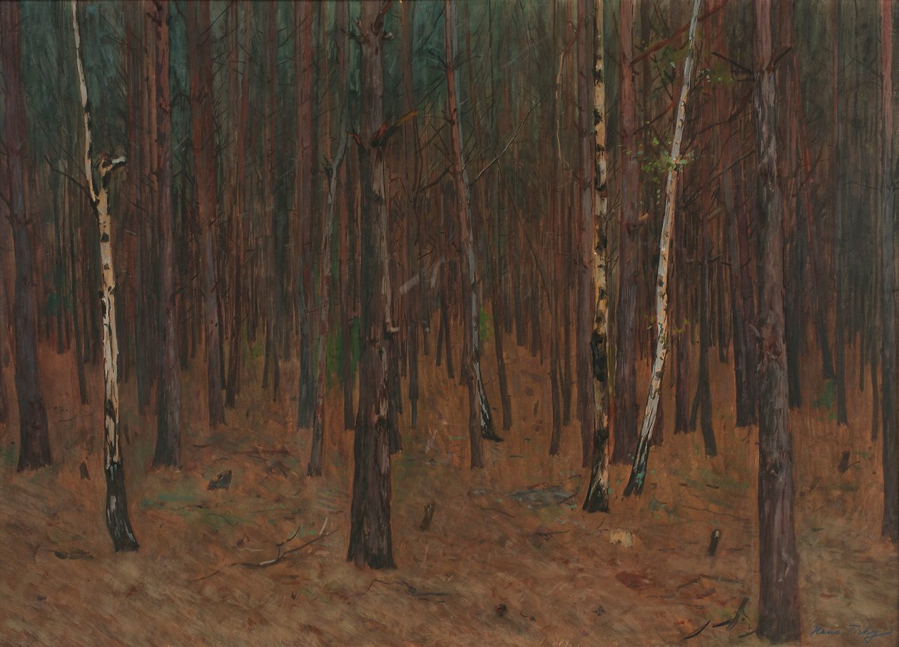 Waldinneres alkotó: Hans Tichy