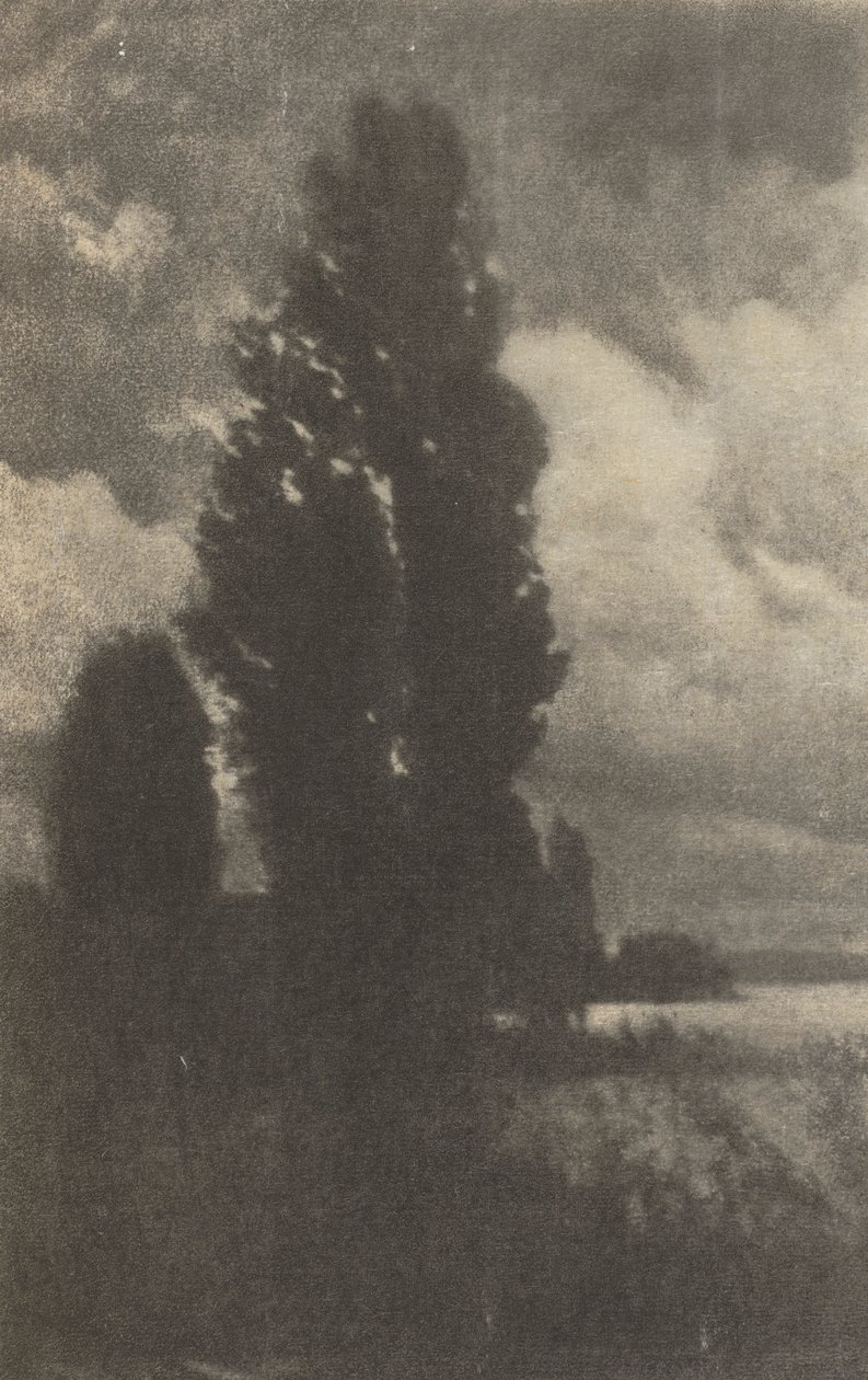 Kameramunka: Nyárfák és felhők, 1906. alkotó: Hans Watzek