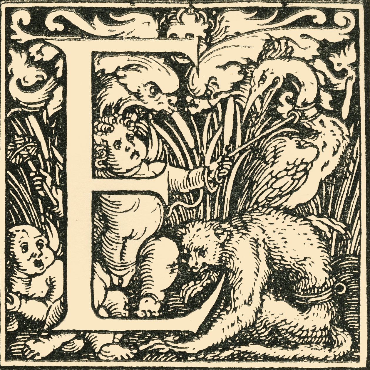 E – Hans Weiditz ábécéje, 1520-1521, 1908. alkotó: Hans Weiditz