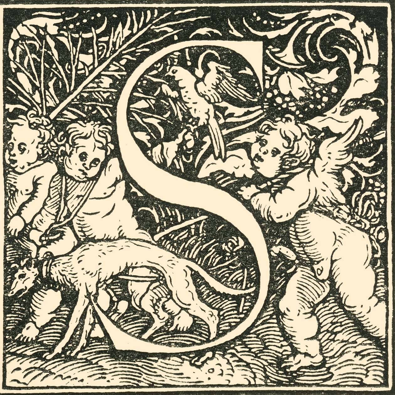 S – Hans Weiditz ábécéje, 1520-1521, 1908. alkotó: Hans Weiditz