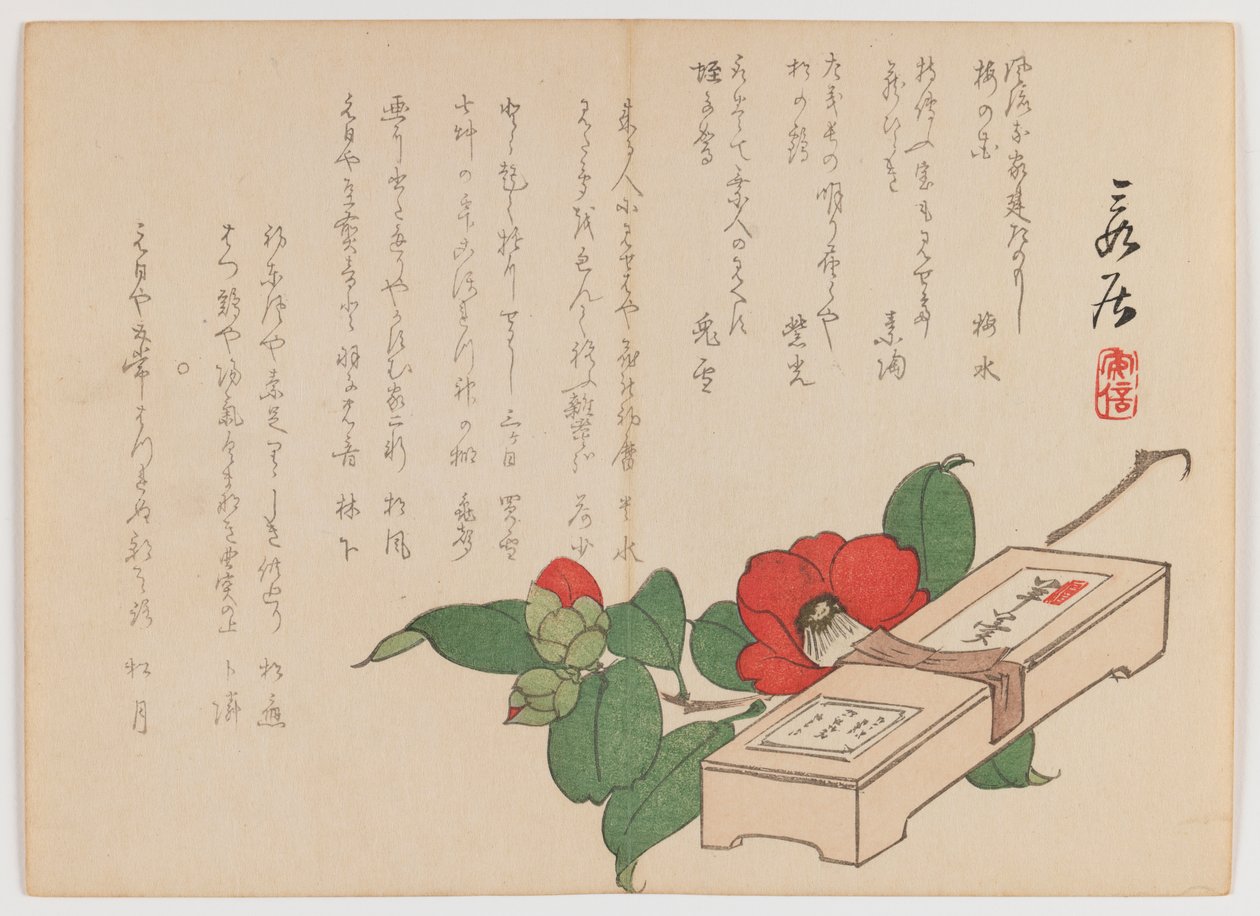 Kamélia édességdobozzal (Yokan), 1860 körül (fatömbnyomat; vízszintes Chûban yoko-e formátum) alkotó: Hanzan Matsukawa