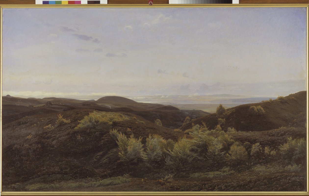 Heather Hills Rye közelében, Jütlandban alkotó: Harald Foss