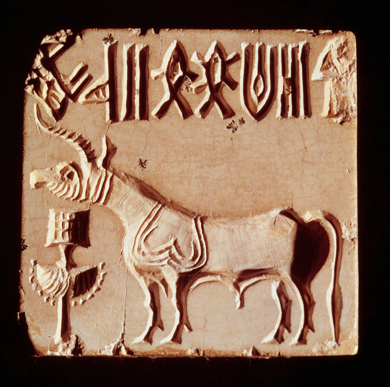 Mitológiai állatot és piktogramos szimbólumokat ábrázoló pecsét a pakisztáni Indus-völgyből, Mohenjo-Daroból, ie 3000-1500 alkotó: Harappan