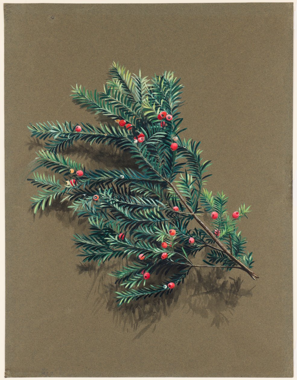 adó USB ACCA he L. Y extra, 1903 -1915. alkotó: Harold Drinkwater