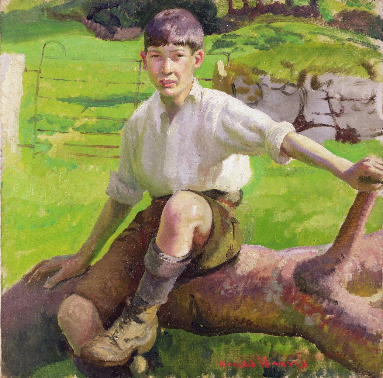 Egy Cornish Boy (olaj, vászon) alkotó: Harold Harvey